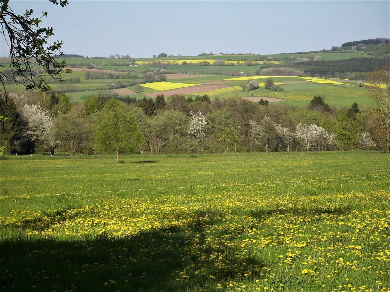Caecilienhof Birstein