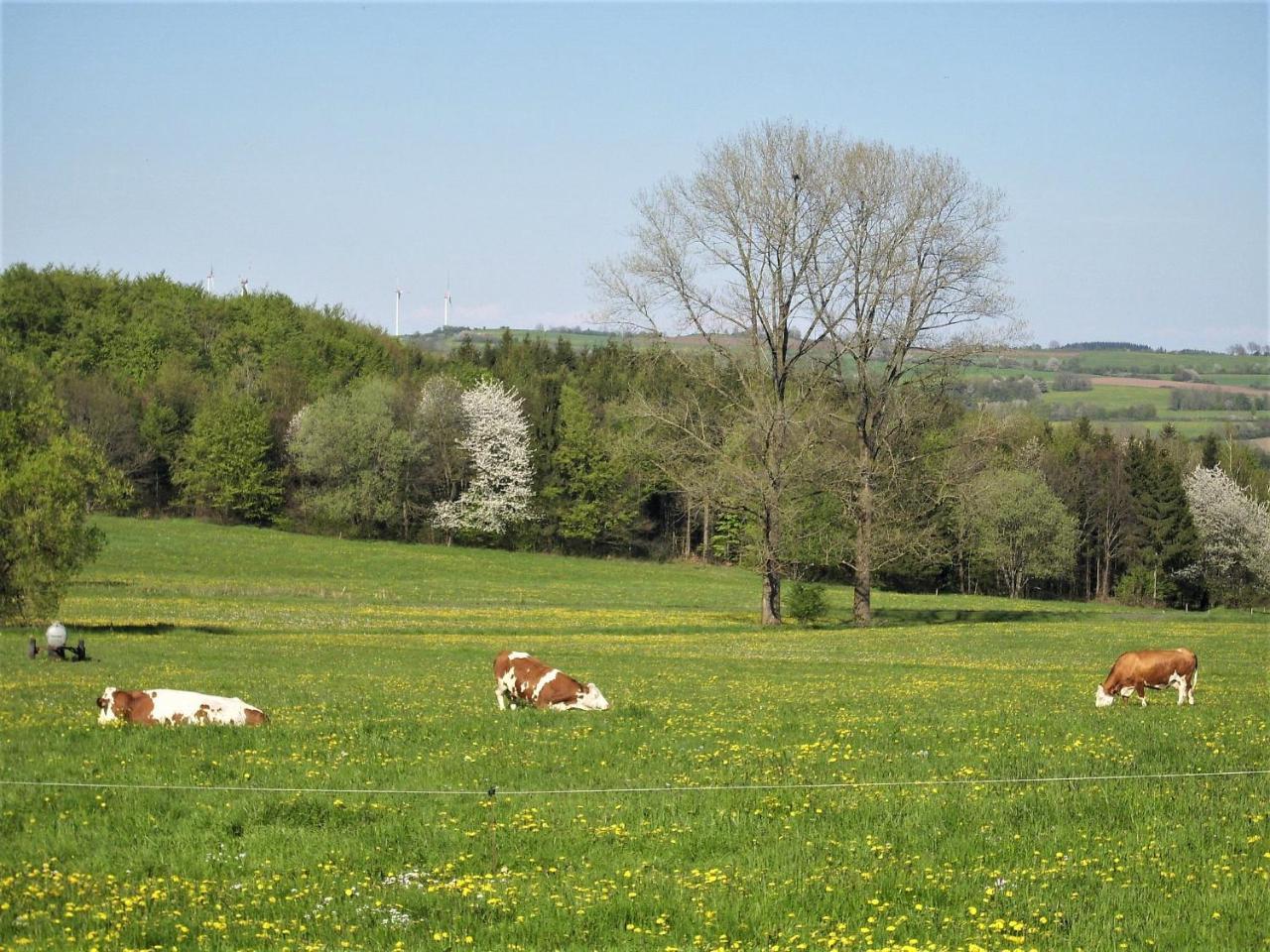 Caecilienhof * Birstein